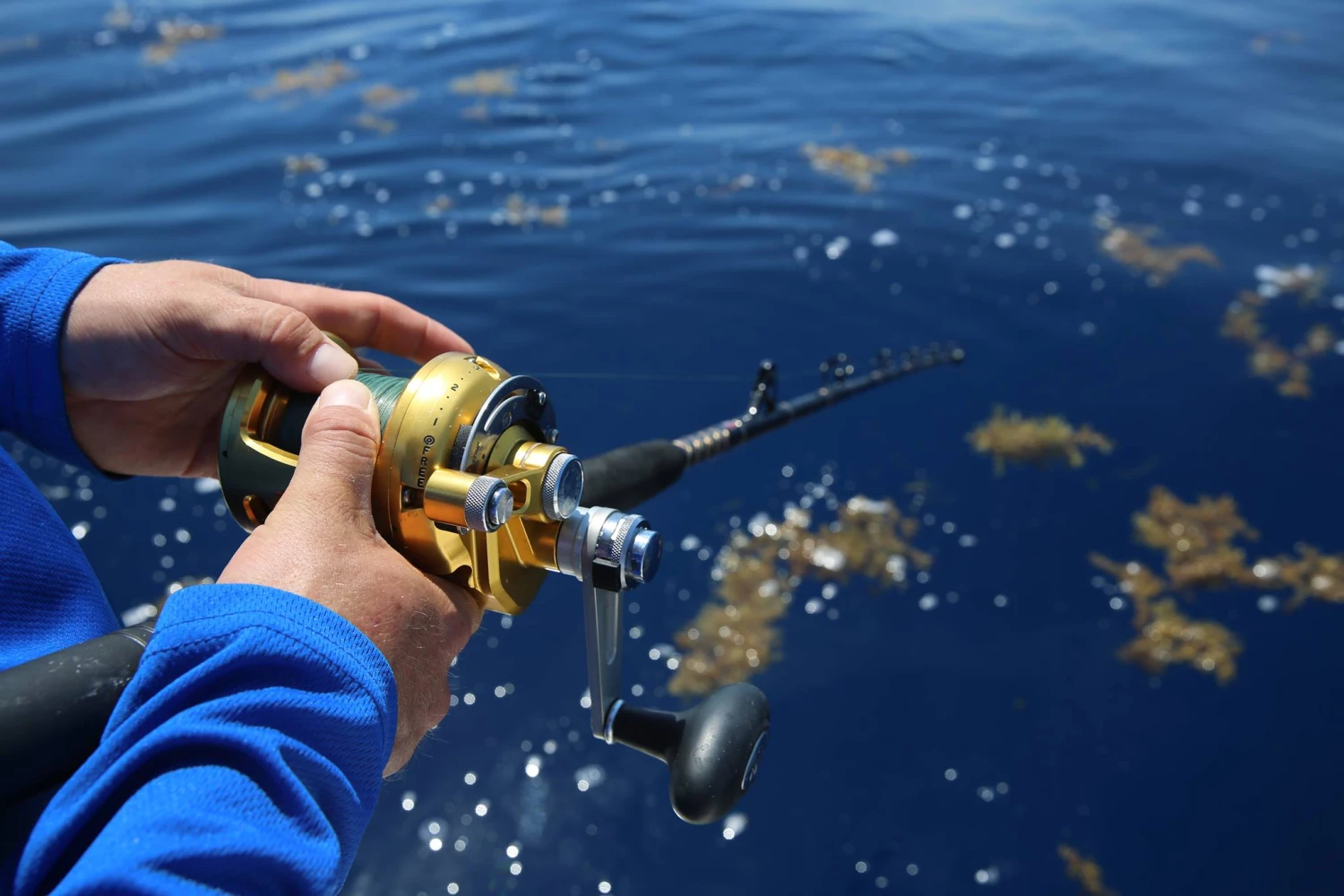 Reels Sales Store -Reels Sales Store 20507188 1612302615487816 2066213122938751741 o