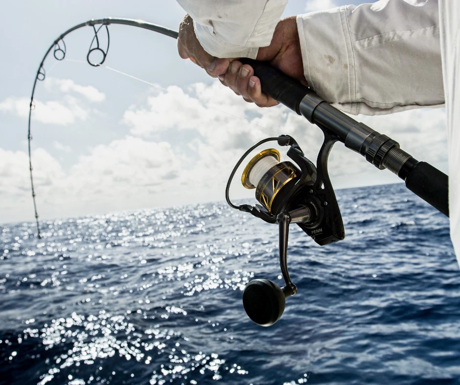 Reels Sales Store -Reels Sales Store 305835598 5716075055110531 2869967840292757865 n