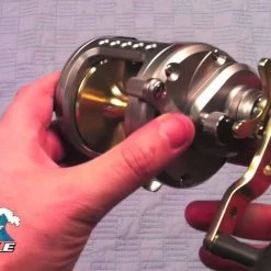 Daiwa Saltist Levelwind Reels -Reels Sales Store image 278