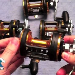 Daiwa Seagate Conventional Reels 9 Daiwa Seagate Conventional Reels -Reels Sales Store image 300