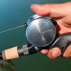 Shimano Calcutta D Baitcasting Reels -Reels Sales Store image 319