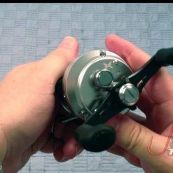 Shimano Calcutta D Baitcasting Reels -Reels Sales Store image 327