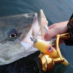 Penn Slammer III Spinning Reels 11 Penn Slammer III Spinning Reels -Reels Sales Store image 439