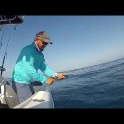 Tsunami Forged 10 Lever Drag Reels 5 Tsunami Forged 10 Lever Drag Reels -Reels Sales Store image 495