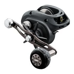 Daiwa 2020 Lexa WN Baitcasting Reels